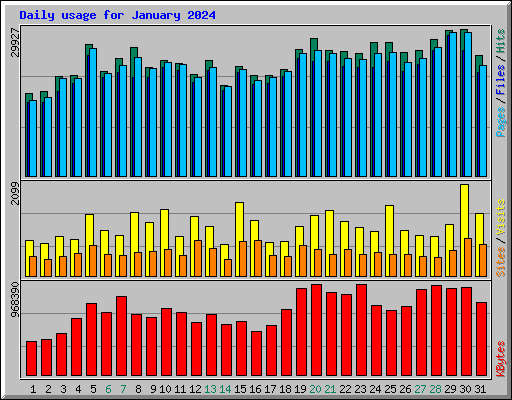 Daily usage for January 2024
