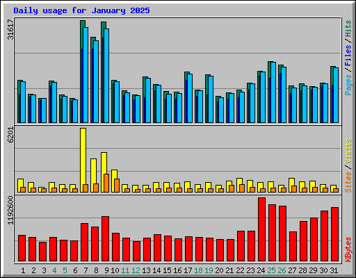 Daily usage for January 2025