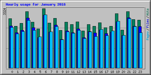 Hourly usage for January 2016