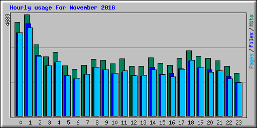 Hourly usage for November 2016