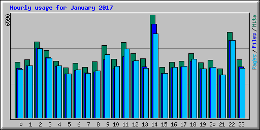 Hourly usage for January 2017