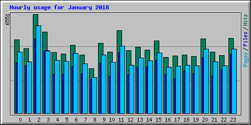 Hourly usage for January 2018