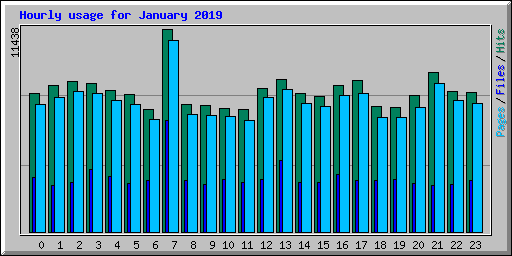 Hourly usage for January 2019