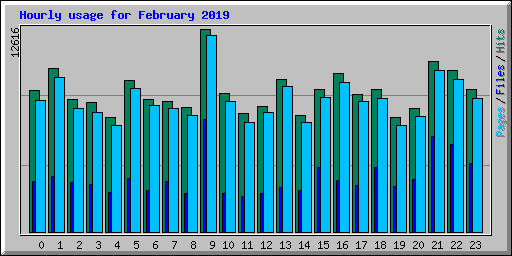 Hourly usage for February 2019