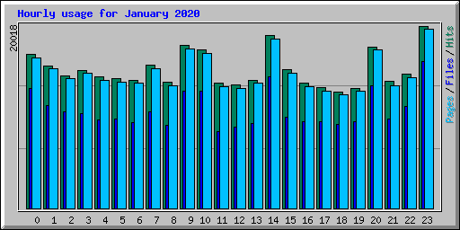 Hourly usage for January 2020