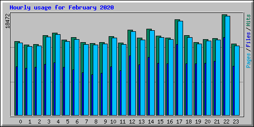 Hourly usage for February 2020