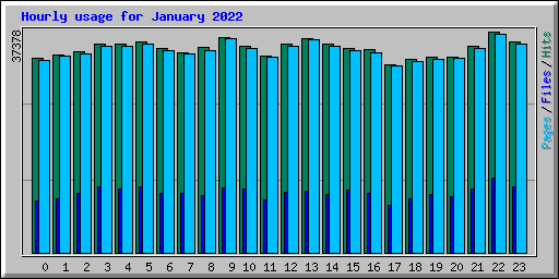 Hourly usage for January 2022