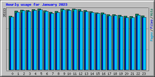 Hourly usage for January 2023