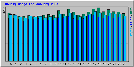 Hourly usage for January 2024