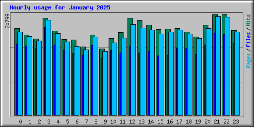 Hourly usage for January 2025