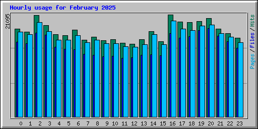 Hourly usage for February 2025