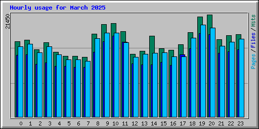 Hourly usage for March 2025