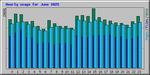 Hourly usage for June 2025