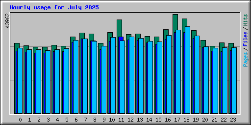 Hourly usage for July 2025