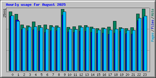 Hourly usage for August 2025