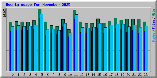 Hourly usage for November 2025