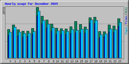 Hourly usage for December 2025