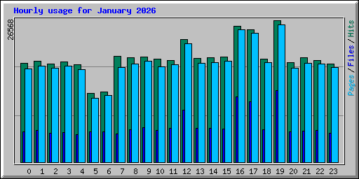 Hourly usage for January 2026