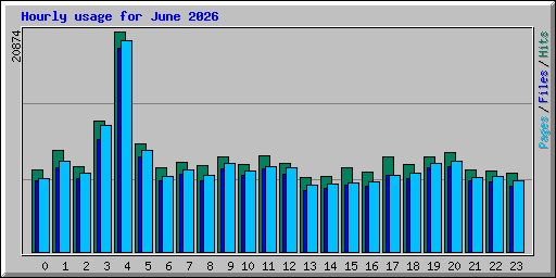 Hourly usage for June 2026