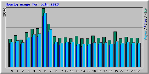 Hourly usage for July 2026