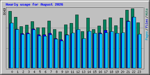 Hourly usage for August 2026