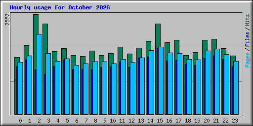 Hourly usage for October 2026
